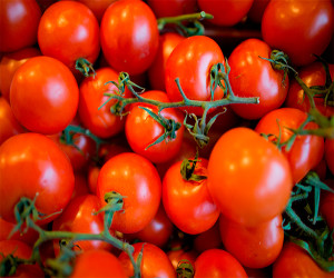 na-krasnoj-planete-udalos-vyrastit-pomidory